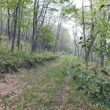 Liguardi Proano